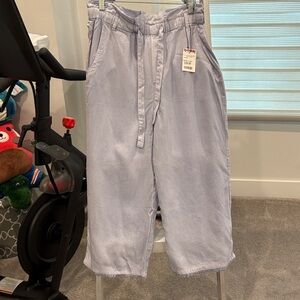Cloth & Stone Light Light Blue Pants